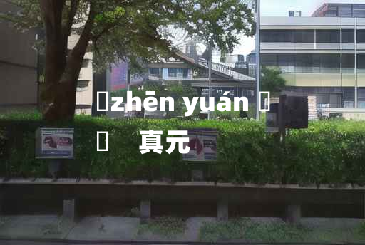 
	zhēn yuán 	
	    真元