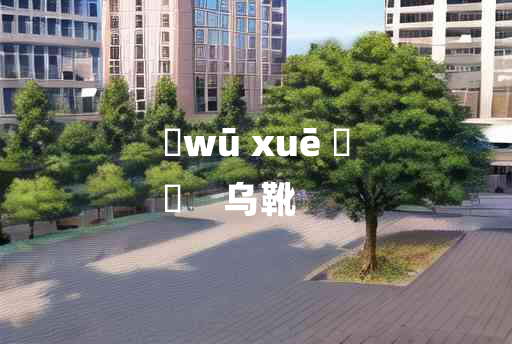 
	wū xuē 	
	    乌靴