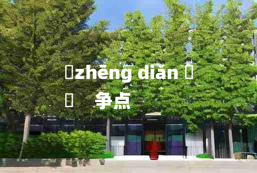 
	zhēng diǎn 	
	    争点