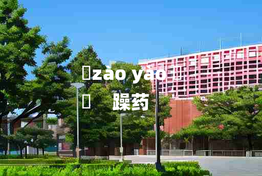 
	zào yào 	
	    躁药