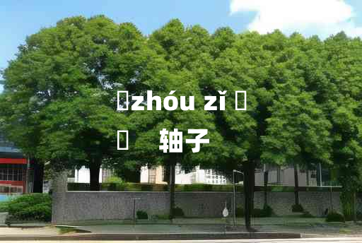 
	zhóu zǐ 	
	    轴子