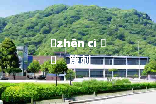 
	zhēn cì 	
	    箴刺