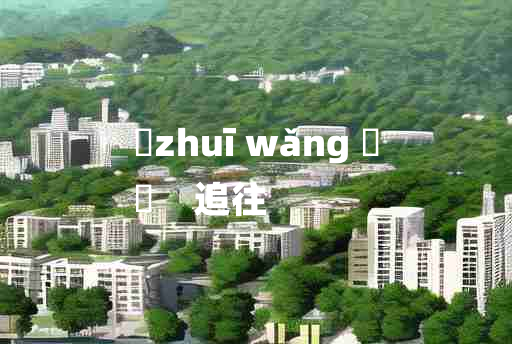 
	zhuī wǎng 	
	    追往