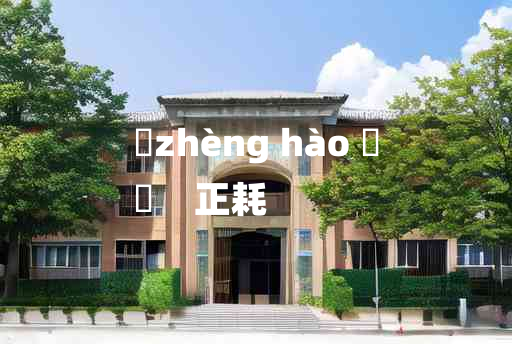 
	zhèng hào 	
	    正耗