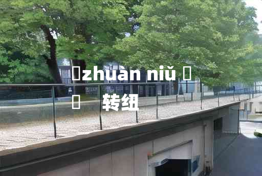 
	zhuàn niǔ 	
	    转纽