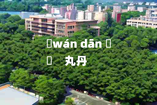 
	wán dān 	
	    丸丹