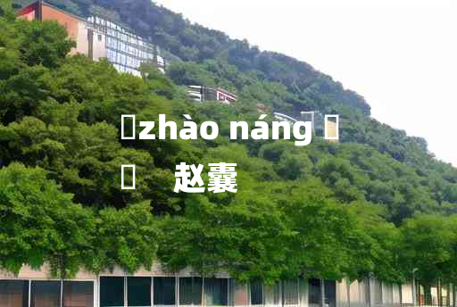 
	zhào náng 	
	    赵囊