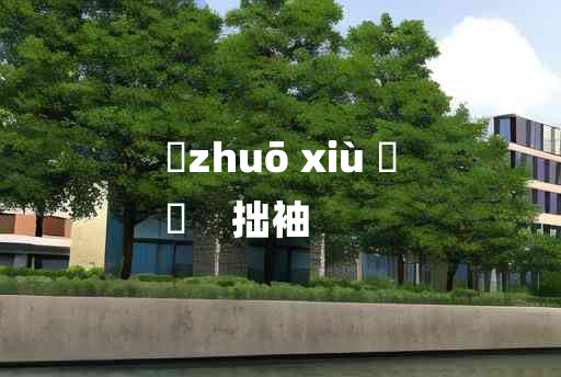 
	zhuō xiù 	
	    拙袖