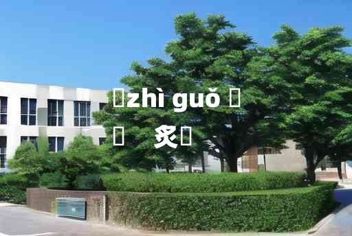 
	zhì guǒ 	
	    炙輠