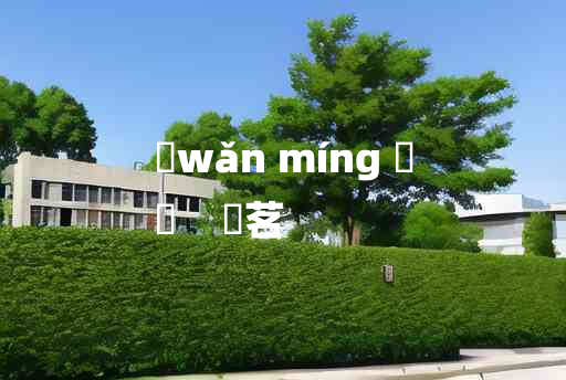 
	wǎn míng 	
	    椀茗