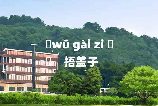 
	wǔ gài zi 	
	    捂盖子