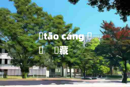 
	tāo cáng 	
	    弢藏