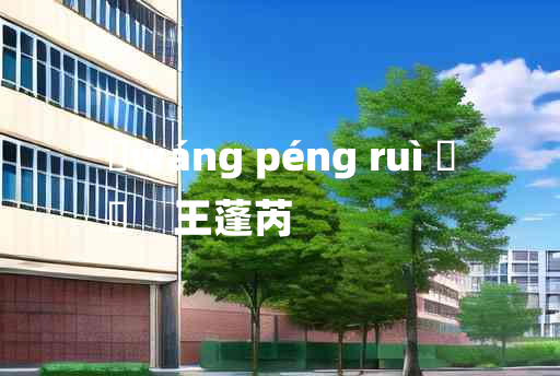 
	wáng péng ruì 	
	    王蓬芮