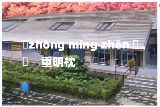 
	zhòng míng zhěn 	
	    重明枕