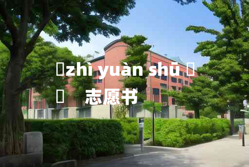 
	zhì yuàn shū 	
	    志愿书