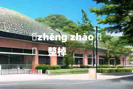 
	zhěng zhào 	
	    整棹