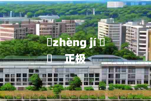 
	zhèng jí 	
	    正极