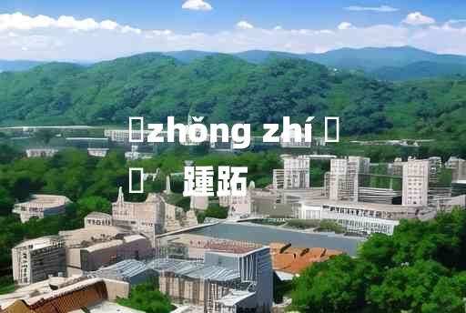 
	zhǒng zhí 	
	    踵跖