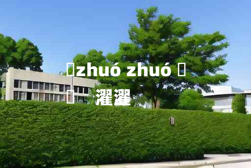 
	zhuó zhuó 	
	    濯濯