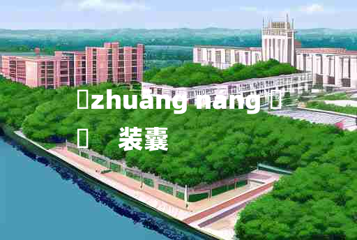 
	zhuāng náng 	
	    装囊