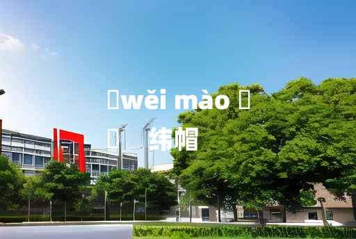 
	wěi mào 	
	    纬帽