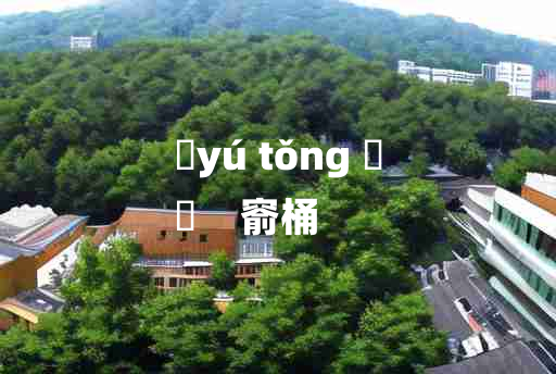 
	yú tǒng 	
	    窬桶