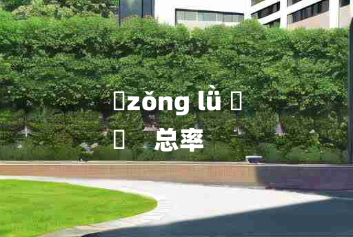 
	zǒng lǜ 	
	    总率