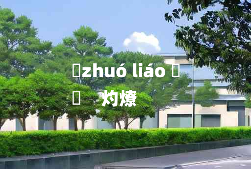 
	zhuó liáo 	
	    灼燎