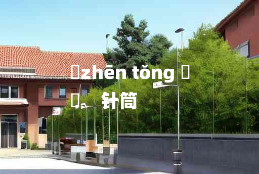 
	zhēn tǒng 	
	    针筒