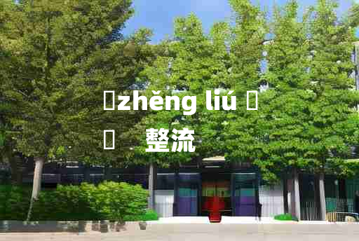 
	zhěng liú 	
	    整流