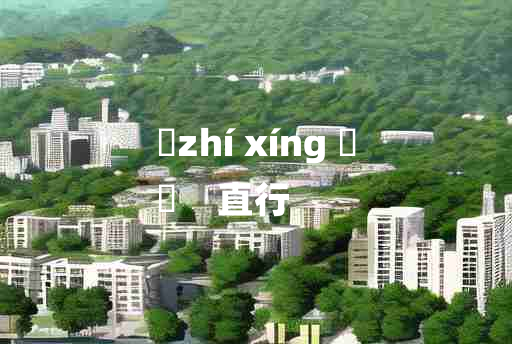 
	zhí xíng 	
	    直行