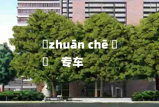 
	zhuān chē 	
	    专车