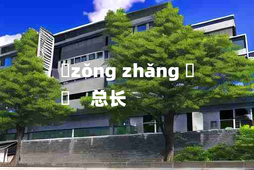 
	zǒng zhǎng 	
	    总长