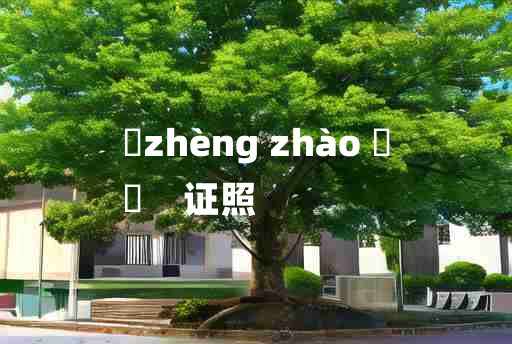 
	zhèng zhào 	
	    证照