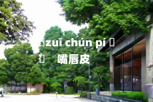 
	zuǐ chún pí 	
	    嘴唇皮