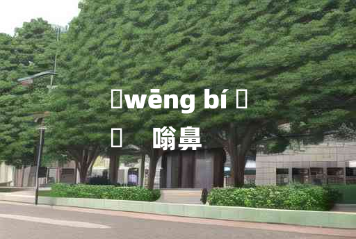 
	wēng bí 	
	    嗡鼻