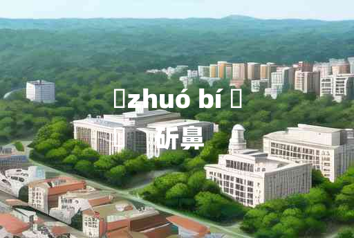 
	zhuó bí 	
	    斫鼻