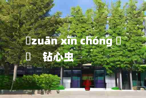 
	zuān xīn chóng 	
	    钻心虫