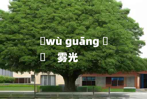 
	wù guāng 	
	    雾光