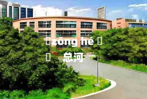 
	zǒng hé 	
	    总河