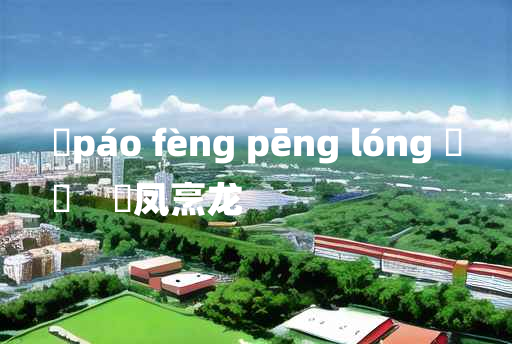 
	páo fèng pēng lóng 	
	    炰凤烹龙