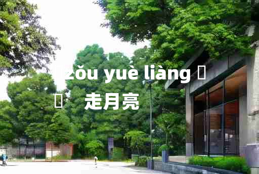 
	zǒu yuè liàng 	
	    走月亮