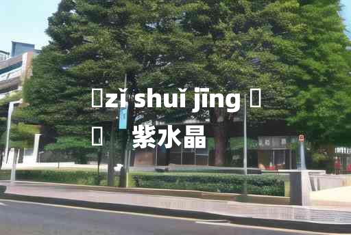 
	zǐ shuǐ jīng 	
	    紫水晶