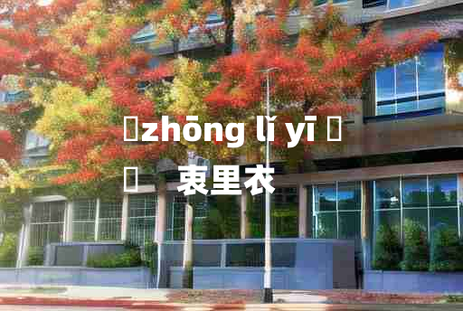 
	zhōng lǐ yī 	
	    衷里衣