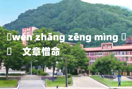 
	wén zhāng zēng mìng 	
	    文章憎命