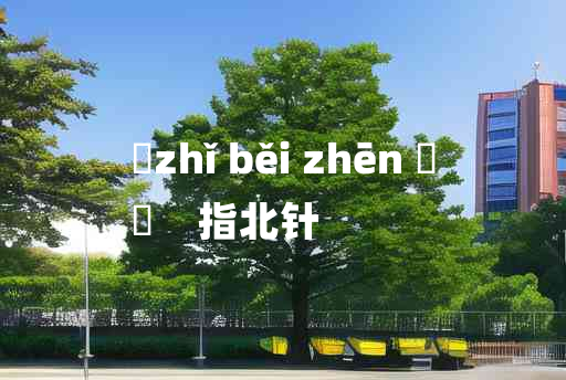 
	zhǐ běi zhēn 	
	    指北针