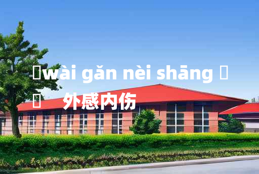 
	wài gǎn nèi shāng 	
	    外感内伤