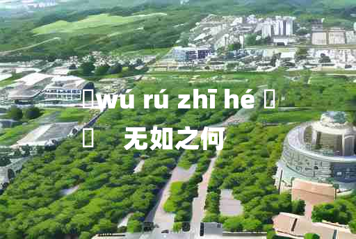 
	wú rú zhī hé 	
	    无如之何