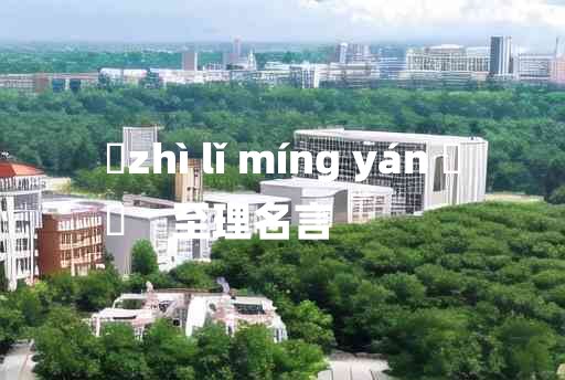 
	zhì lǐ míng yán 	
	    至理名言