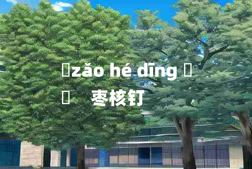 
	zǎo hé dīng 	
	    枣核钉